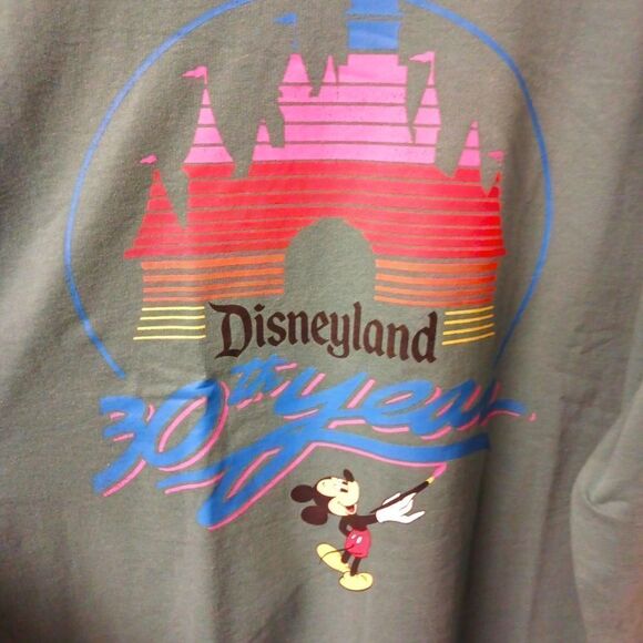 DISNEY PARKS VINTAGE 30 YEAR CELEBRATION SWEATSHIRT! NWT Size XL - Picture 10 of 13